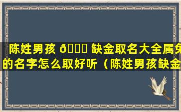 陈姓男孩 🐛 缺金取名大全属兔的名字怎么取好听（陈姓男孩缺金取名大全属兔的名字怎么取好听一点）